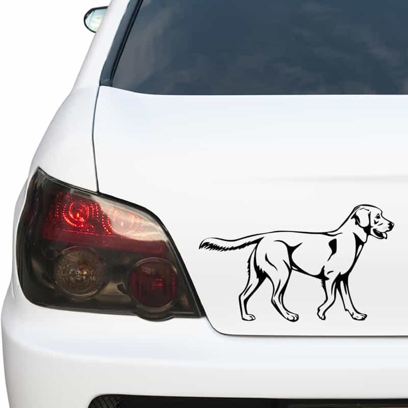 La Leche Es Buena Para Los Cachorros De Labrador