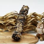 Sveta biljka Yearba Santa za čišćenje negativne energije