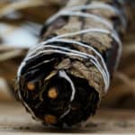 Yearba Santa sveta biljka za pozitivnu energiju