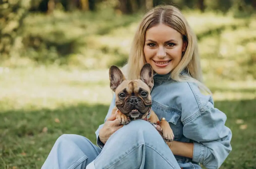 Francuski buldog 3 pasmine francuski buldog