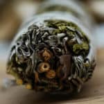 svežanj rute i bijele kadulje