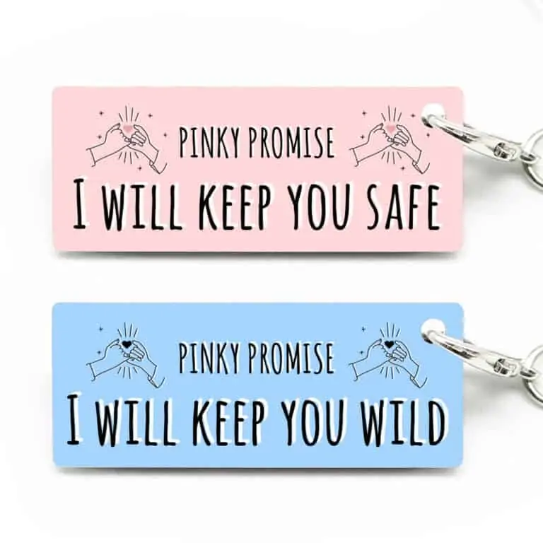 Privjesci za ključeve pinky promise SAFE and WILD