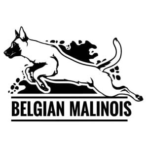 Naljepnice za auto Belgijski ovčar