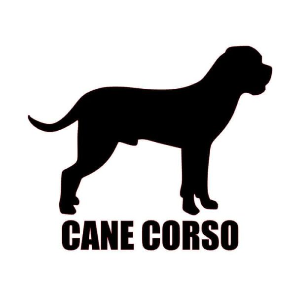Adesivo Cane Spinone AMA SHOP - PVC Per Auto, Casco E Pareti