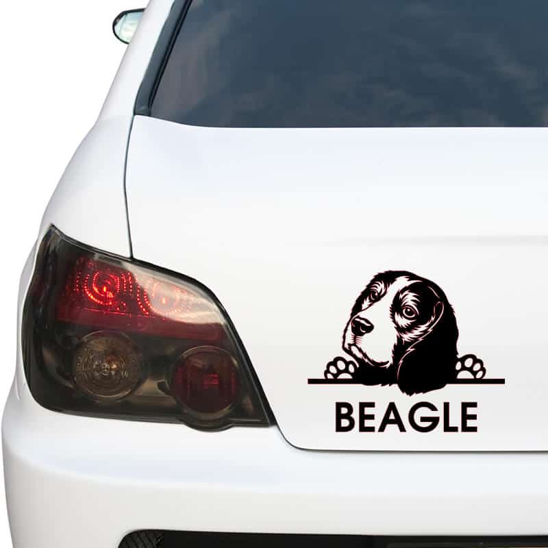 Adesivo Per Auto Personalizzato – Beagle Con Nome – Die Cut Rosso 160x90mm