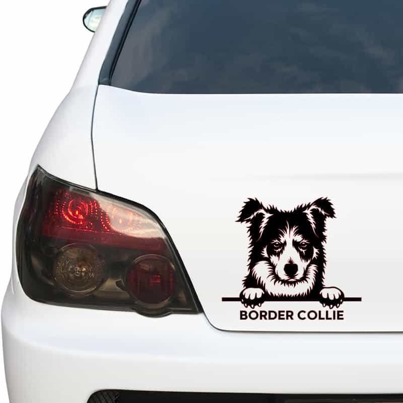 Adesivi Inter Adesivo Per Auto, 25 Cm (9,8 Pollici), Bordo Collie On Board Colla Paraurti Auto - 13