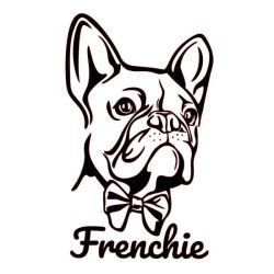 Adesivo Auto Bulldog Francese 3D - 30x30 Cm, Impermeabile, Per Paraurti