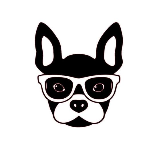bulldog francese con adesivo auto occhiali