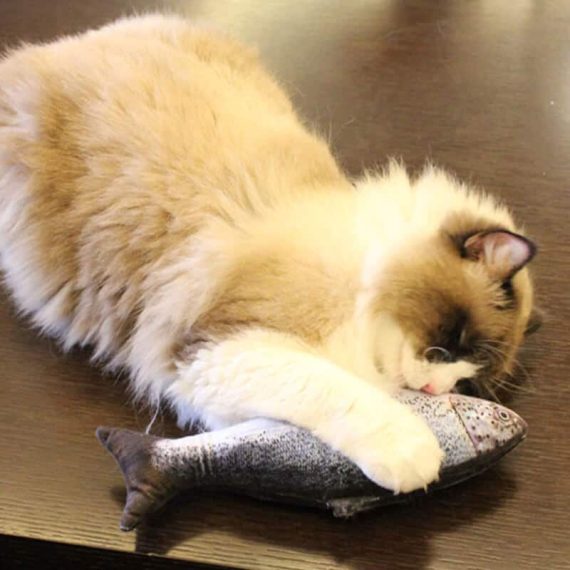 igrača za mačko v obliki ribe modre