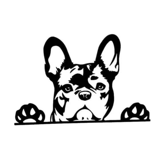 avto nalepka francoski buldog