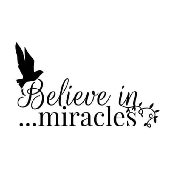 Stenska nalepka verjemite v čudeže