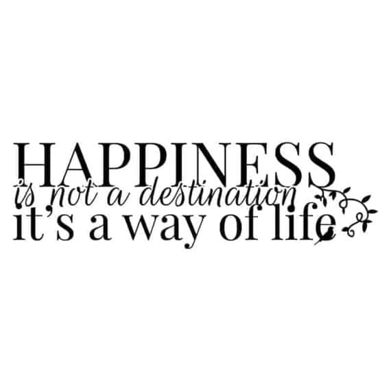 stenske nalepke happiness is not a destination it is a was of life