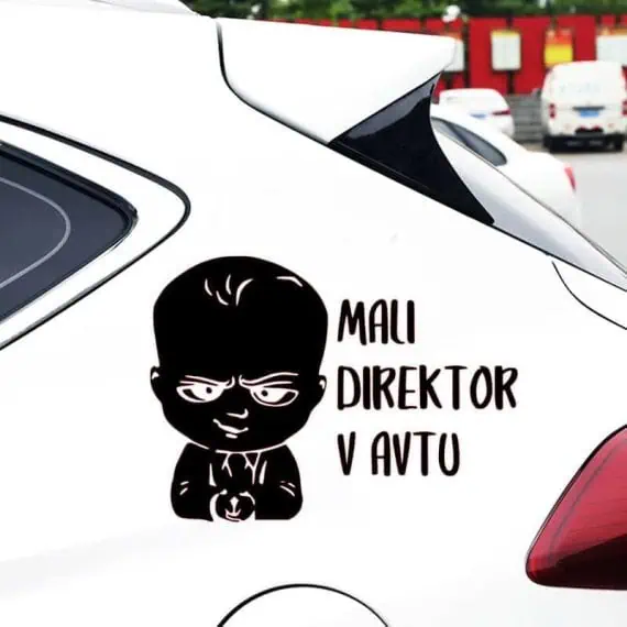 v avtu direktor