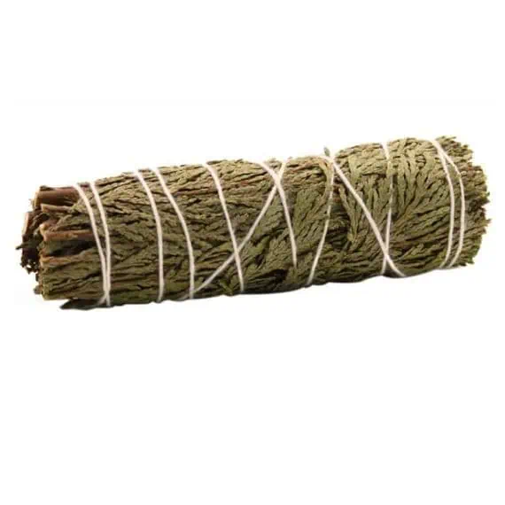 Cedra kadilo Cedra kadilo