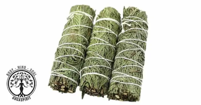 cedar smudge gogaspirit
