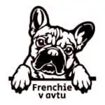 french bulldog v avtu
