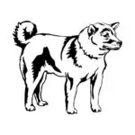 Avto nalepka Shiba inu