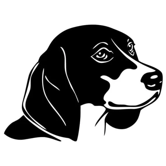 Avto nalepka beagle