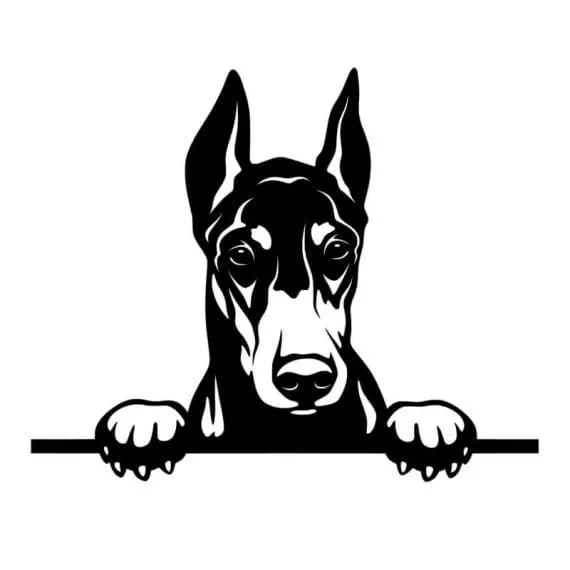 Nalepka za avto doberman
