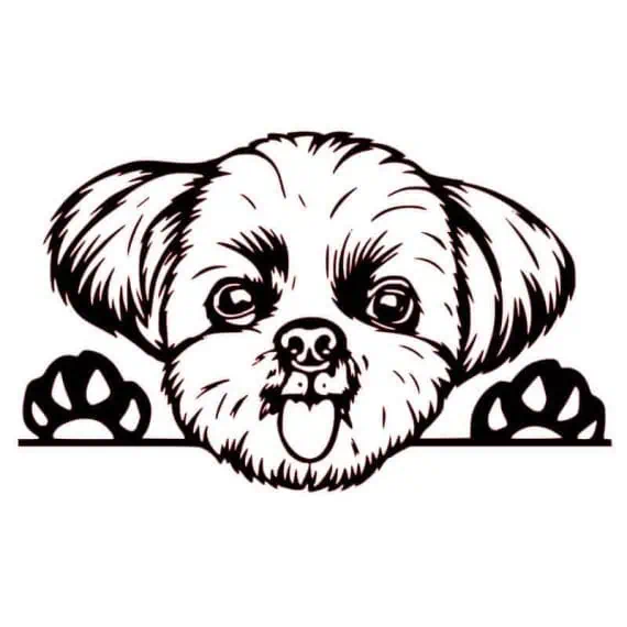 Nalepka za avto shih tzu