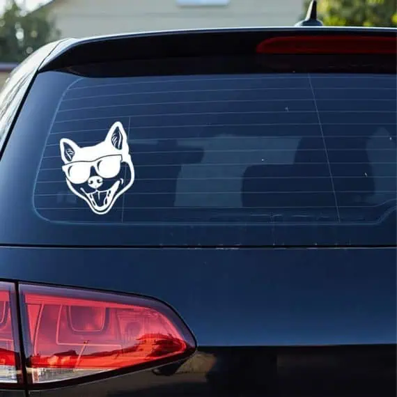 Shiba inu s sončnimi očali nalepka za avto