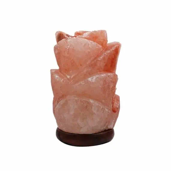 Solna lučka Rožica