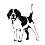 avto nalepka beagle pasma