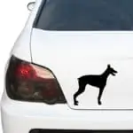 doberman nalepka za avtomobil črna