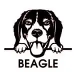 nalepka beagle obraz