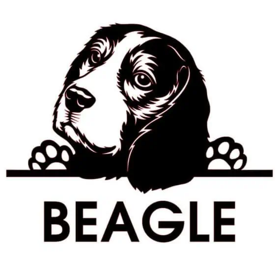 nalepka za avto beagle z napisom