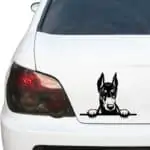 nalepka za avto doberman črne barve