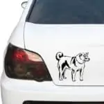pes Shiba inu nalepka na avtu