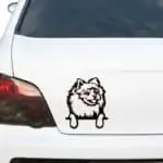 pomeranec nalepka z napisom na avtu