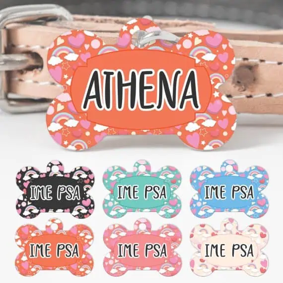 Obeski za pse mavrica