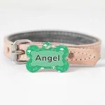 obesek za psa zelena barva na ovratnici