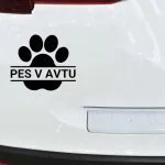 Pes v avtu s tačko