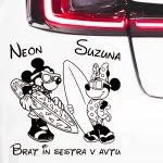 Minnie in Mickey s surfom v roki