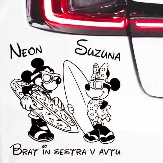 Minnie in Mickey s surfom v roki