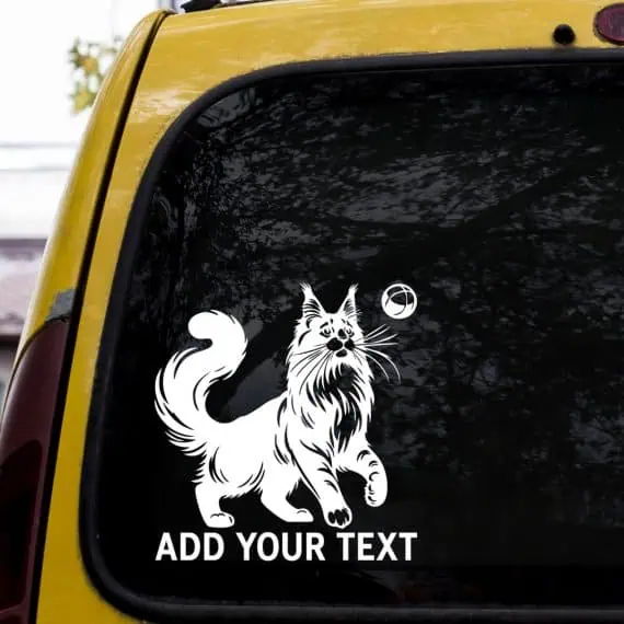 nalepke za avtomobile mačka Maine Coon