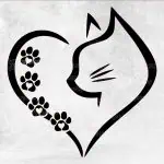 Cat heart nalepka