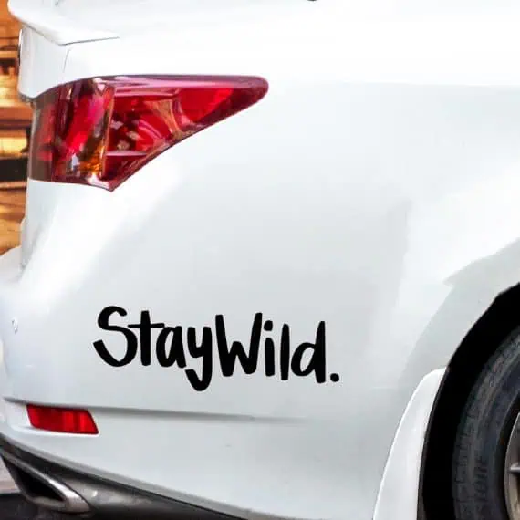 Nalepka Stay Wild za avtomobile