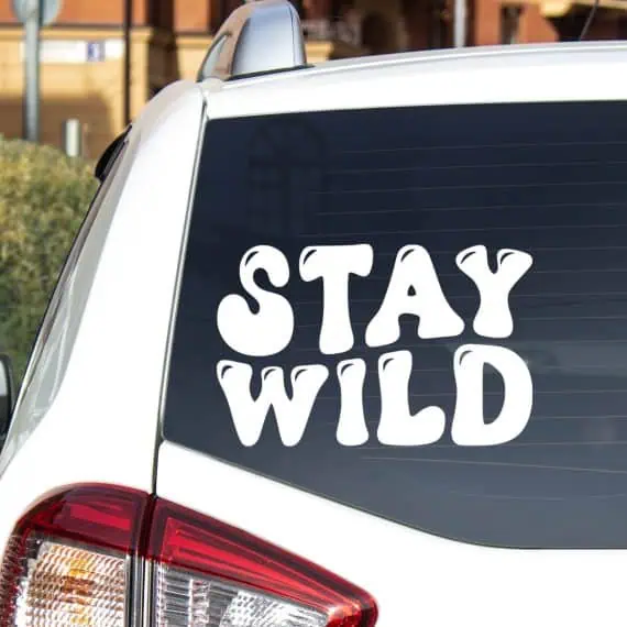Nalepke za avto z napisom Stay Wild