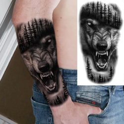 Tatu mogočni gozdni predator volk