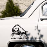 Krap nalepka ribiška za ribiče